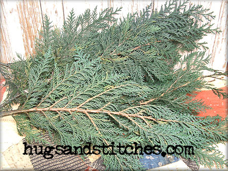 4105 - Preserved Cedar 8oz