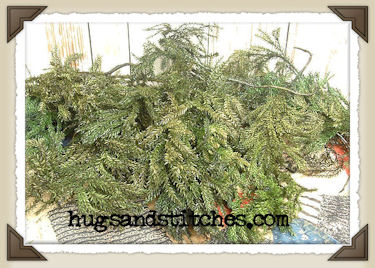 4106 - Mini Pine Preserved