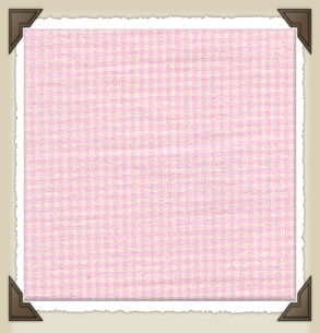 P-41 * Rose/Cream Mini Check